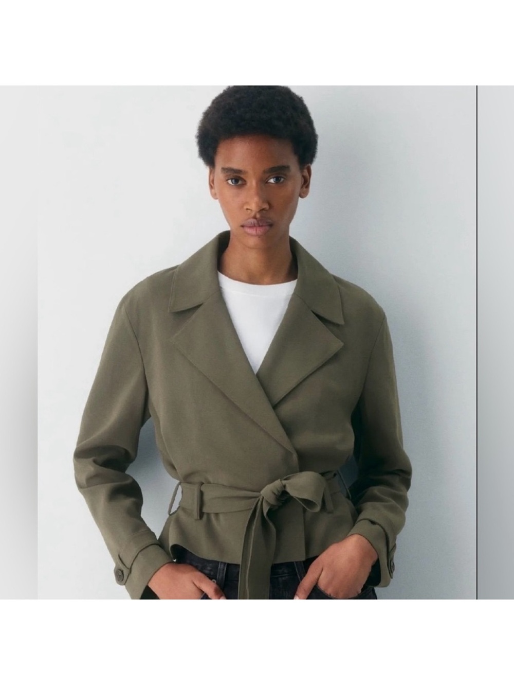 Aritzia Babaton postage Cropped Trench Coat